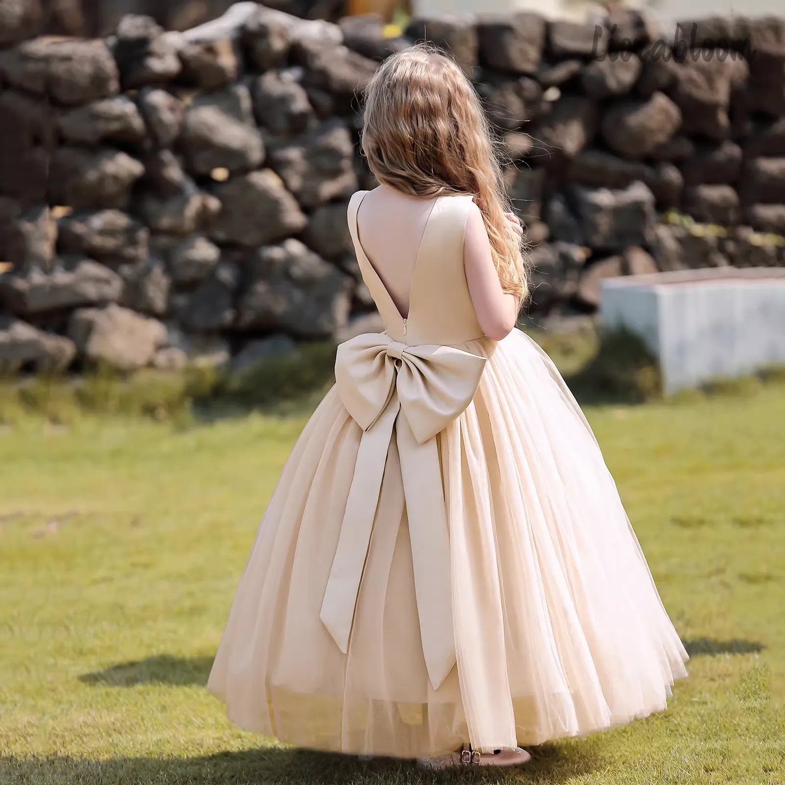 Multicolor Backless Princess D - Women Formal Wear For Party ulasan dan harga